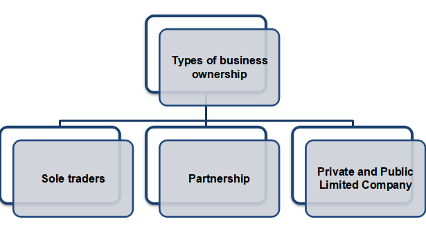 Types of business ownership