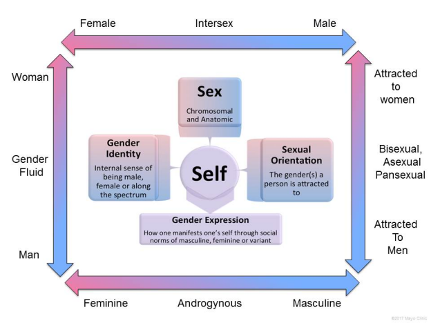 Transgender or the third gender