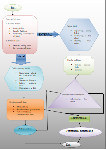 program logic diagram 