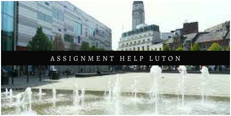 Assignment Help Luton