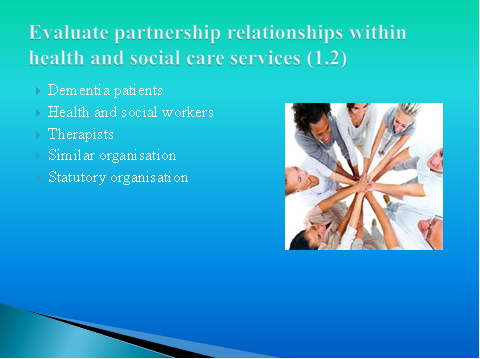 partnership relationships within health and social care services