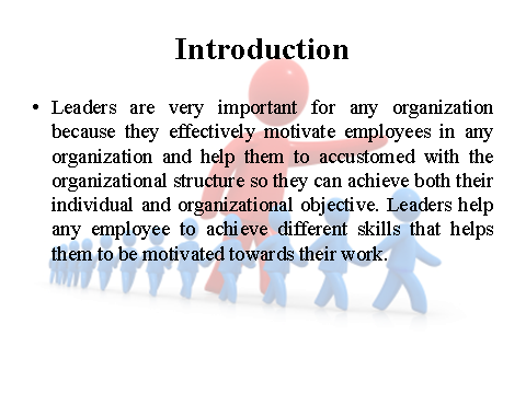 Introduction on leaders