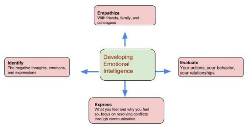 Developing emotional intelligence