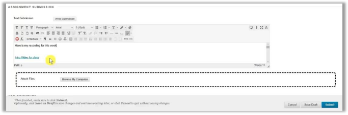  zipped Bash file 