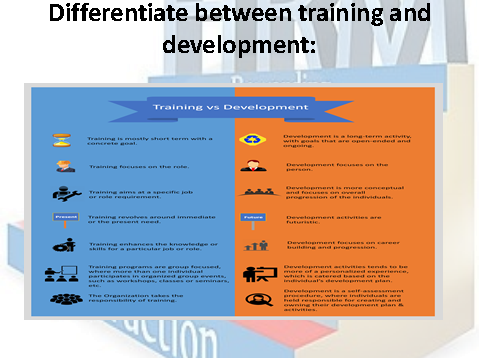 Difference between training and development