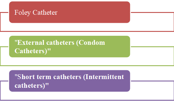  Different Catheters